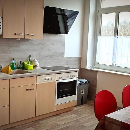 Ferienwohnung Am Birkenwaeldchen Plauen Eksteriør billede