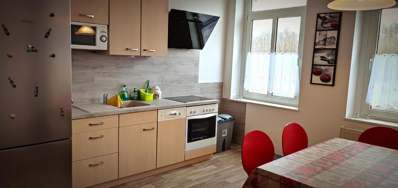 Ferienwohnung Am Birkenwaeldchen Plauen Eksteriør billede